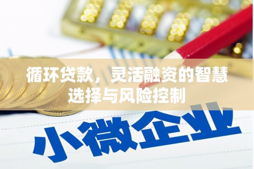 枝江循环贷款，灵活融资的智慧选择与风险控制