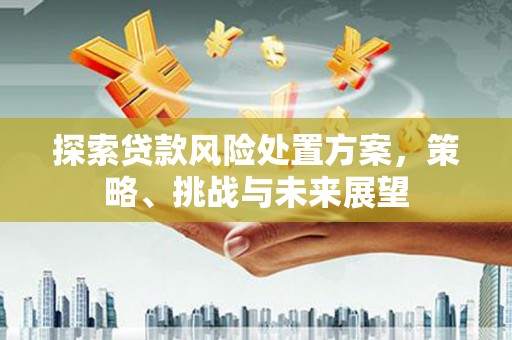 枝江探索贷款风险处置方案，策略、挑战与未来展望