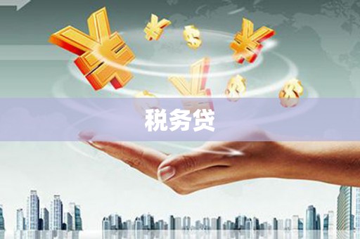 枝江税务贷