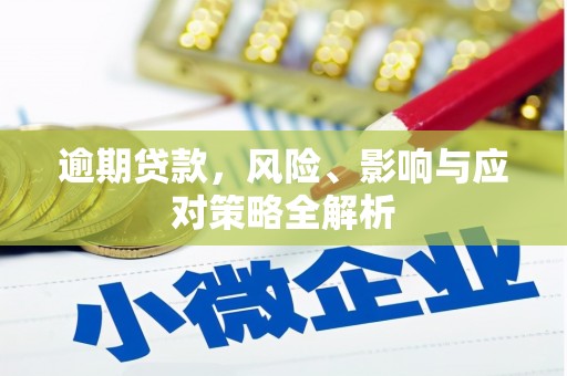 枝江逾期贷款，风险、影响与应对策略全解析