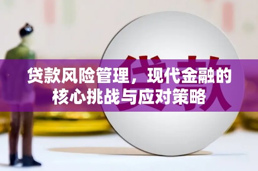 枝江贷款风险管理，现代金融的核心挑战与应对策略