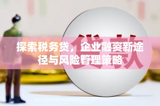 枝江探索税务贷，企业融资新途径与风险管理策略