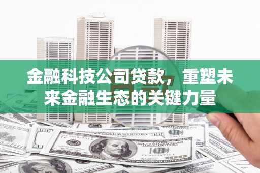 枝江金融科技公司贷款，重塑未来金融生态的关键力量