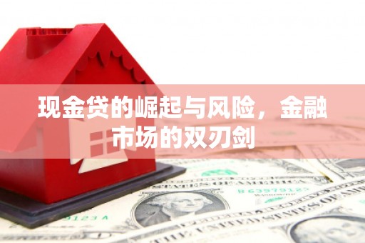 枝江现金贷的崛起与风险，金融市场的双刃剑
