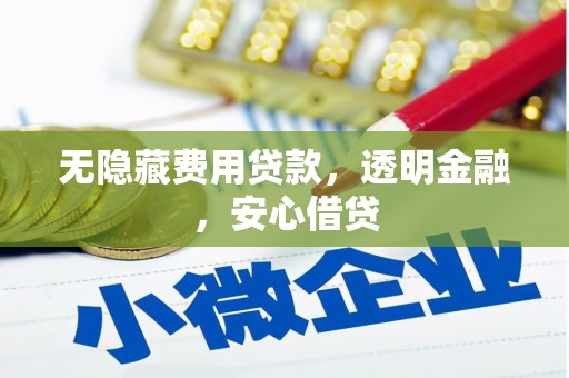 枝江无隐藏费用贷款，透明金融，安心借贷