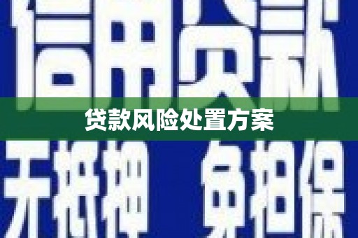 枝江贷款风险处置方案