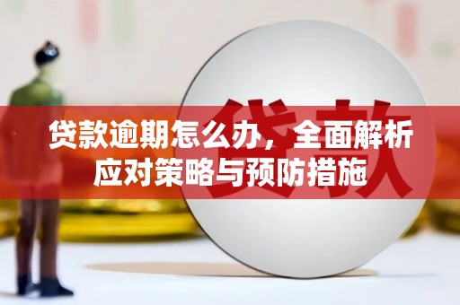 枝江贷款逾期怎么办，全面解析应对策略与预防措施