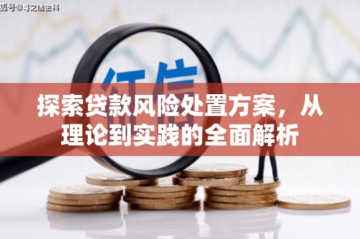 枝江探索贷款风险处置方案，从理论到实践的全面解析