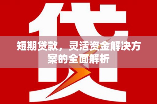 枝江短期贷款，灵活资金解决方案的全面解析