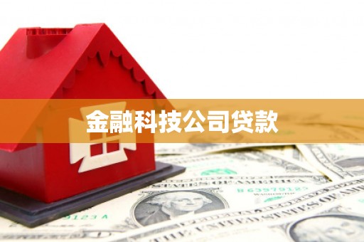 枝江金融科技公司贷款