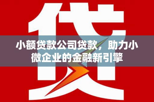 枝江小额贷款公司贷款，助力小微企业的金融新引擎