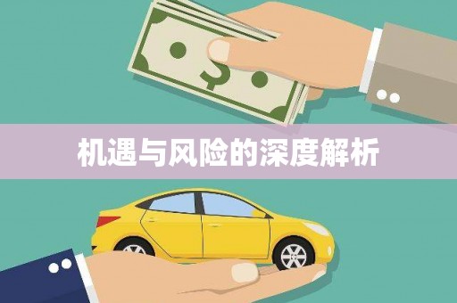 枝江机遇与风险的深度解析