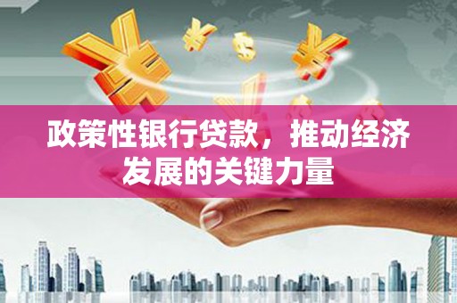 枝江政策性银行贷款，推动经济发展的关键力量