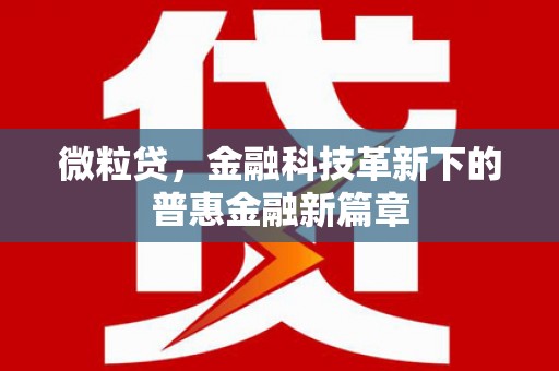 枝江微粒贷，金融科技革新下的普惠金融新篇章