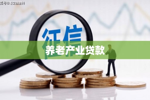 枝江养老产业贷款