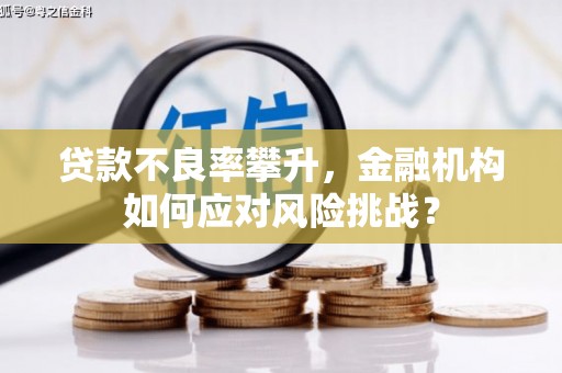 枝江贷款不良率攀升，金融机构如何应对风险挑战？