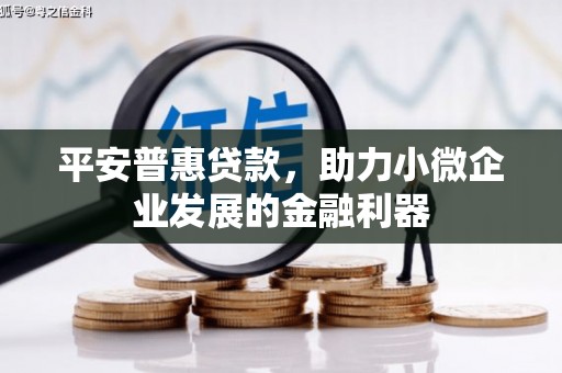枝江平安普惠贷款，助力小微企业发展的金融利器