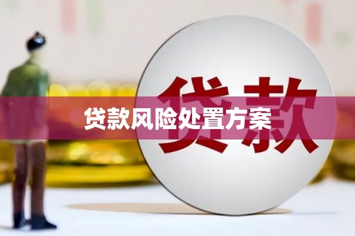枝江贷款风险处置方案