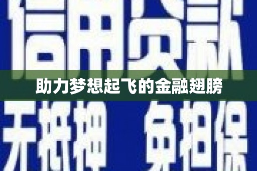 枝江助力梦想起飞的金融翅膀