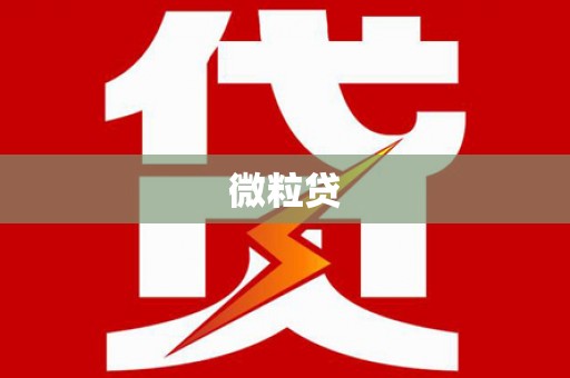 枝江微粒贷