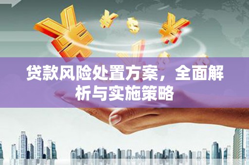 枝江贷款风险处置方案，全面解析与实施策略