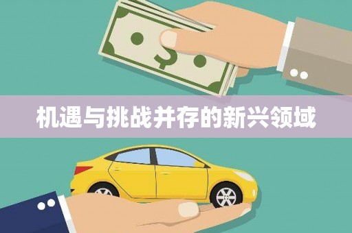 枝江机遇与挑战并存的新兴领域