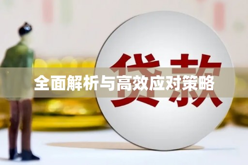 枝江全面解析与高效应对策略