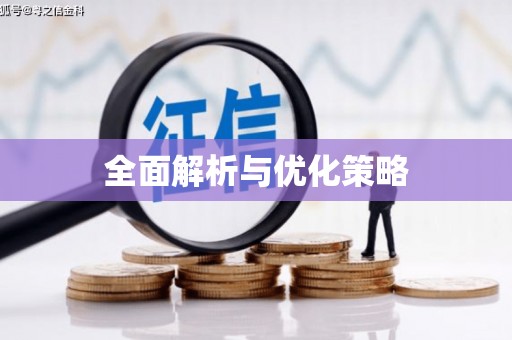 枝江全面解析与优化策略